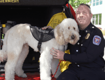 Fire Chief in dress uniform petting a white therapy dog