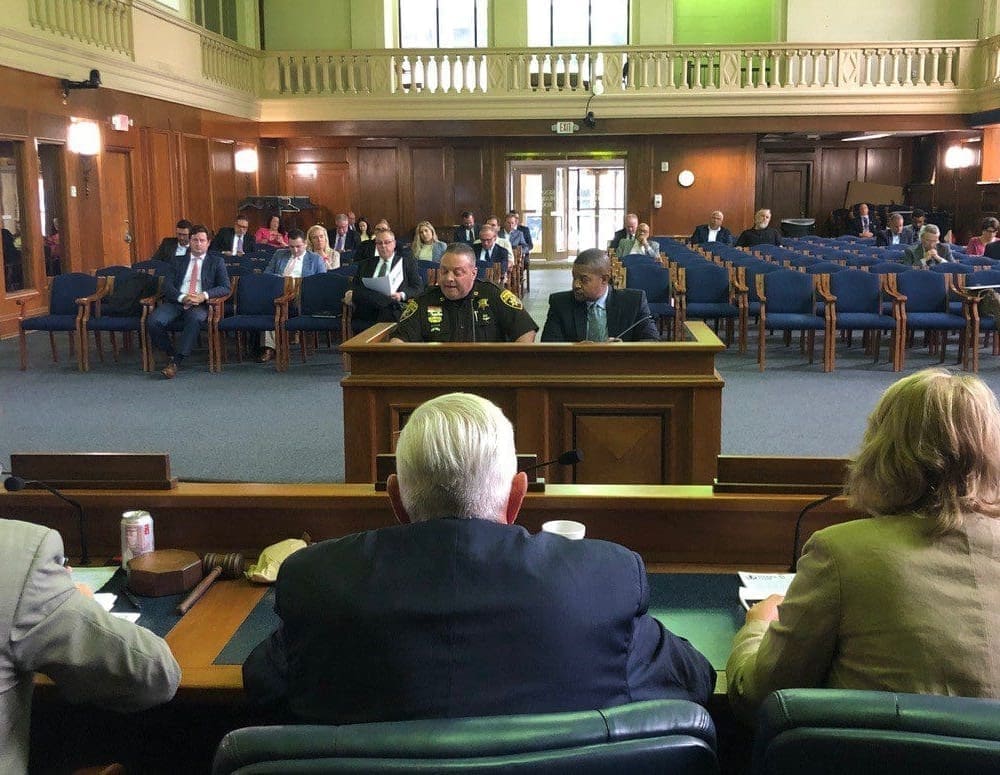 MI FN State Capitol Presentation