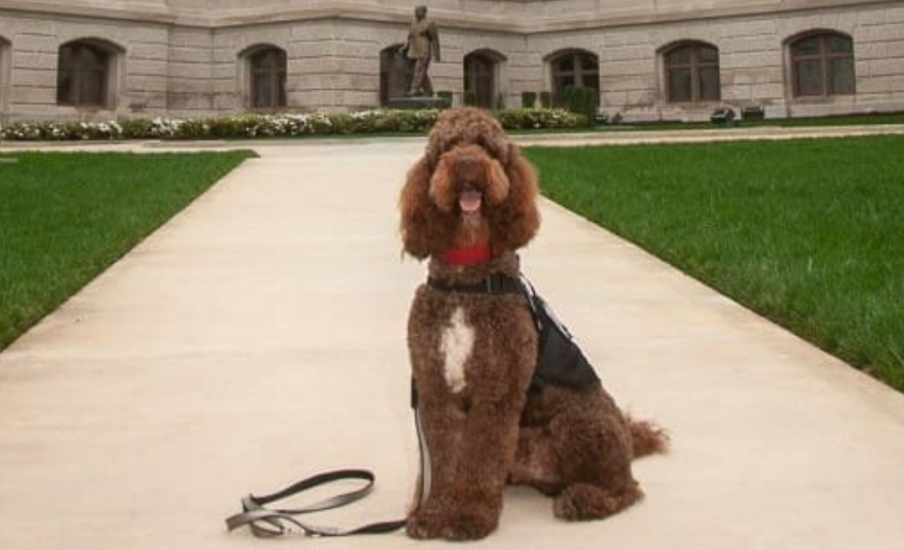 Blog -Single Image Image Grid (75)