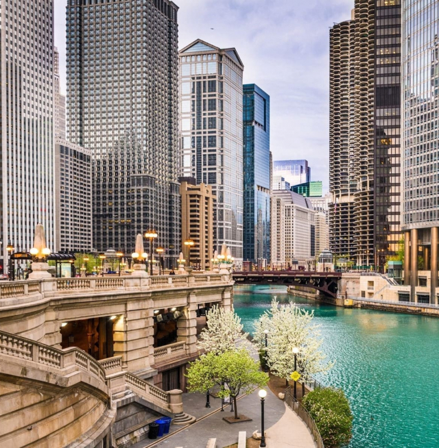 A bridge and buildings in Illinois