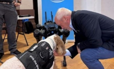 A real dog sniffing a robot dog
