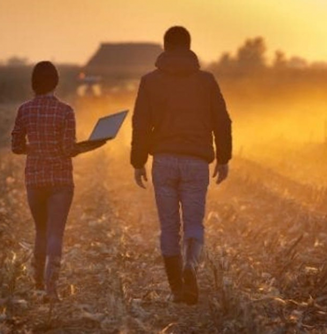 People walking in a field with a laptop
