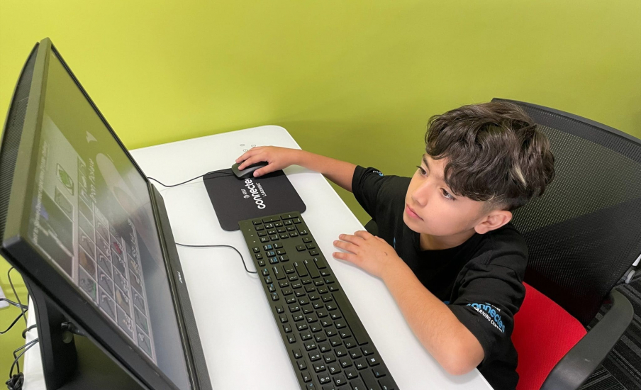 A little boy sitting at a computer